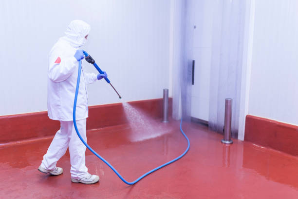 Best Patio and Deck Pressure Washing  in Lake Jackson, TX